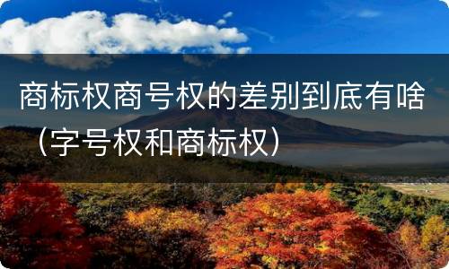 商标权商号权的差别到底有啥（字号权和商标权）