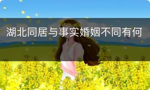 湖北同居与事实婚姻不同有何