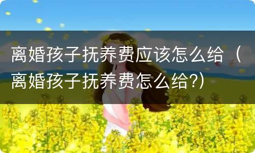 离婚孩子抚养费应该怎么给（离婚孩子抚养费怎么给?）