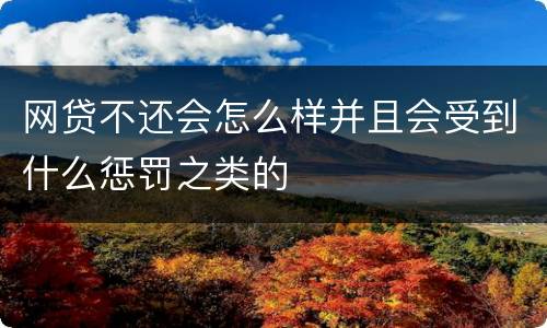 网贷不还会怎么样并且会受到什么惩罚之类的