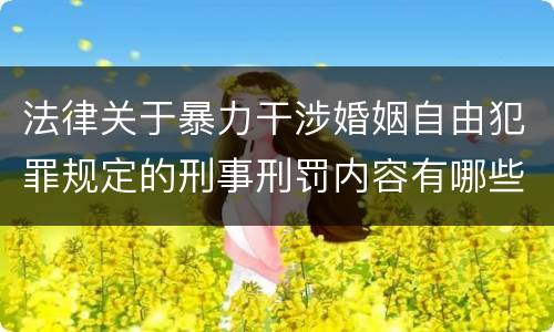 法律关于暴力干涉婚姻自由犯罪规定的刑事刑罚内容有哪些