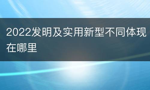 2022发明及实用新型不同体现在哪里