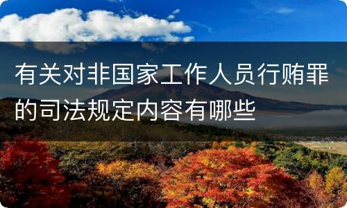有关对非国家工作人员行贿罪的司法规定内容有哪些