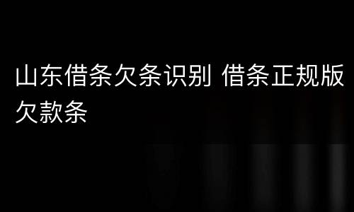 山东借条欠条识别 借条正规版欠款条