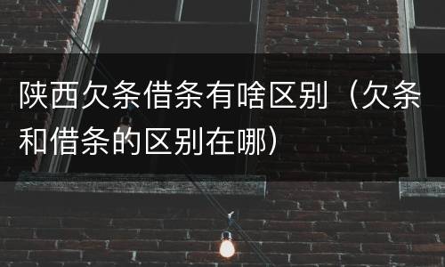 陕西欠条借条有啥区别（欠条和借条的区别在哪）