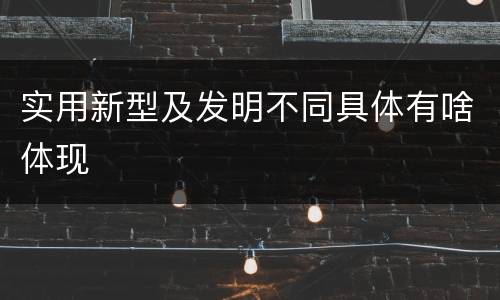 实用新型及发明不同具体有啥体现