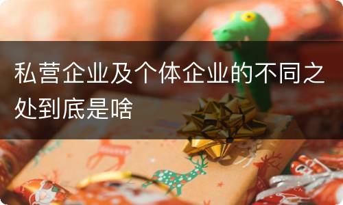 私营企业及个体企业的不同之处到底是啥