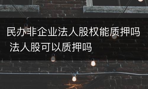 民办非企业法人股权能质押吗 法人股可以质押吗