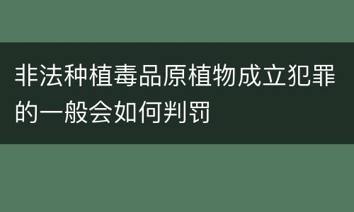 非法种植毒品原植物成立犯罪的一般会如何判罚