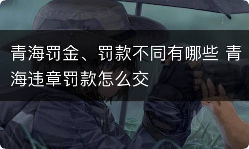 青海罚金、罚款不同有哪些 青海违章罚款怎么交