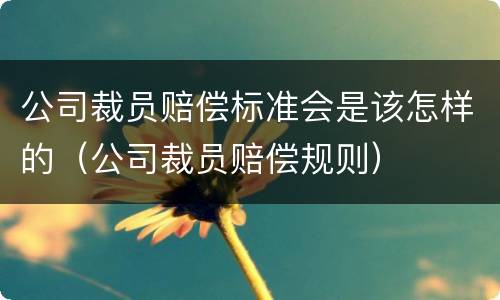 公司裁员赔偿标准会是该怎样的（公司裁员赔偿规则）