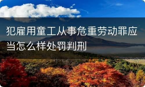 犯雇用童工从事危重劳动罪应当怎么样处罚判刑