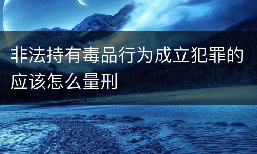非法持有毒品行为成立犯罪的应该怎么量刑