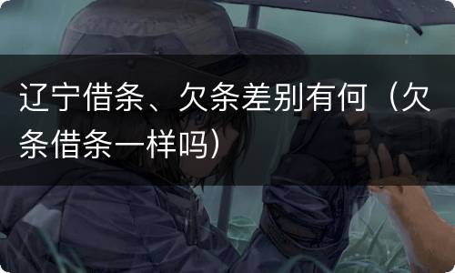 辽宁借条、欠条差别有何（欠条借条一样吗）
