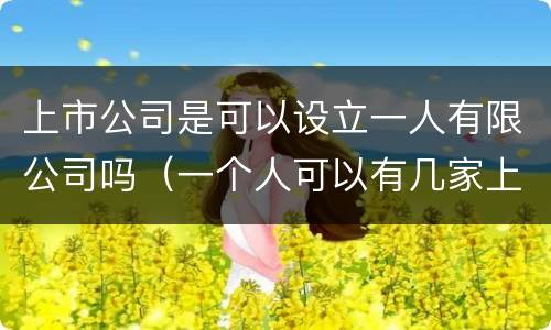 上市公司是可以设立一人有限公司吗（一个人可以有几家上市公司）