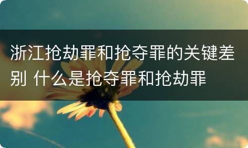 浙江抢劫罪和抢夺罪的关键差别 什么是抢夺罪和抢劫罪