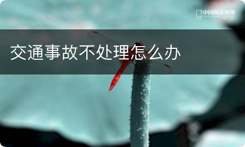 交通事故不处理怎么办