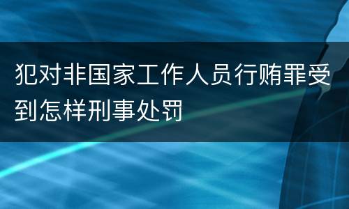 犯对非国家工作人员行贿罪受到怎样刑事处罚