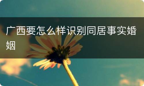 广西要怎么样识别同居事实婚姻