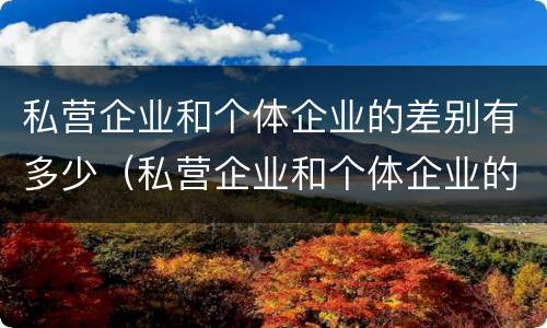 私营企业和个体企业的差别有多少（私营企业和个体企业的差别有多少种）