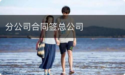 分公司合同签总公司