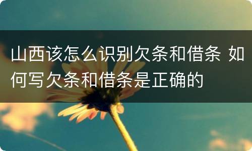 山西该怎么识别欠条和借条 如何写欠条和借条是正确的
