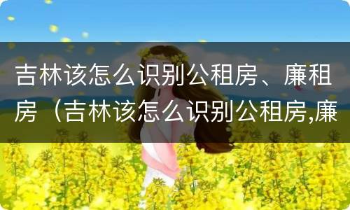 吉林该怎么识别公租房、廉租房（吉林该怎么识别公租房,廉租房呢）
