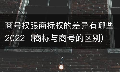 商号权跟商标权的差异有哪些2022（商标与商号的区别）