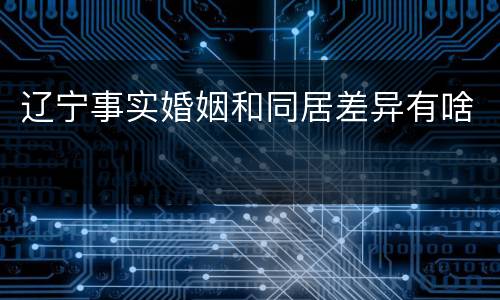 辽宁事实婚姻和同居差异有啥