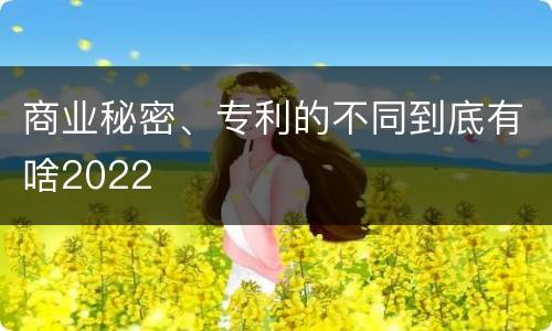 商业秘密、专利的不同到底有啥2022
