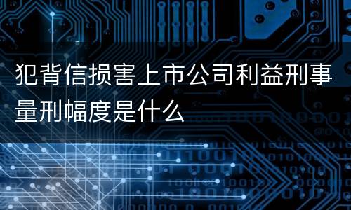 犯背信损害上市公司利益刑事量刑幅度是什么