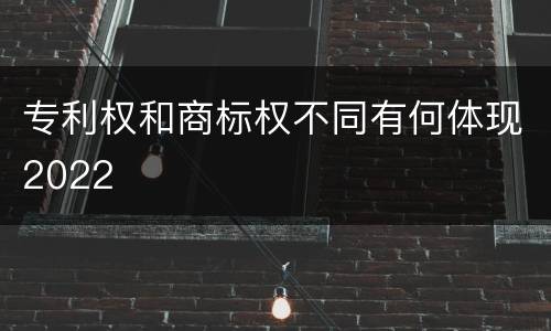 专利权和商标权不同有何体现2022