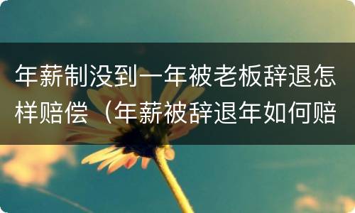 年薪制没到一年被老板辞退怎样赔偿（年薪被辞退年如何赔偿）