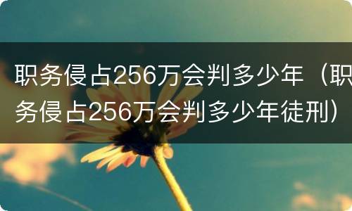职务侵占256万会判多少年（职务侵占256万会判多少年徒刑）