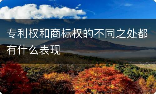 专利权和商标权的不同之处都有什么表现