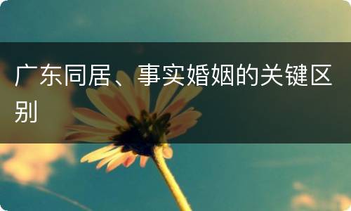 广东同居、事实婚姻的关键区别