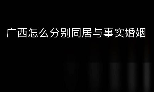 广西怎么分别同居与事实婚姻