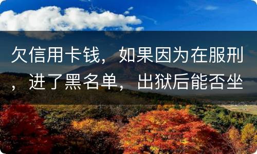 欠信用卡钱，如果因为在服刑，进了黑名单，出狱后能否坐高铁，飞机，火车这些交通工具