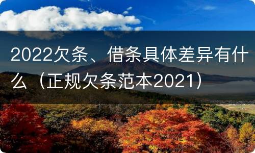 2022欠条、借条具体差异有什么（正规欠条范本2021）