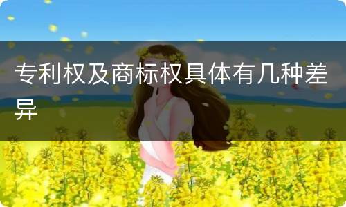 专利权及商标权具体有几种差异