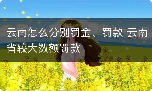 云南怎么分别罚金、罚款 云南省较大数额罚款