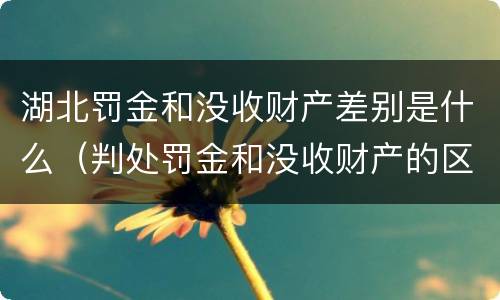 湖北罚金和没收财产差别是什么（判处罚金和没收财产的区别）