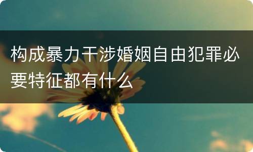 构成暴力干涉婚姻自由犯罪必要特征都有什么