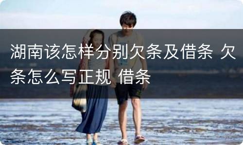 湖南该怎样分别欠条及借条 欠条怎么写正规 借条