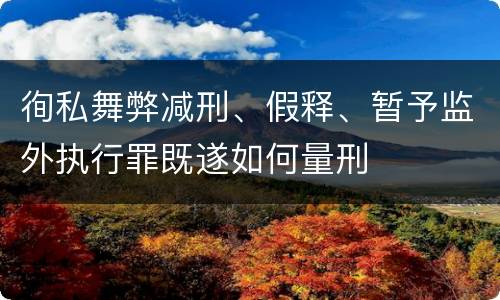 徇私舞弊减刑、假释、暂予监外执行罪既遂如何量刑
