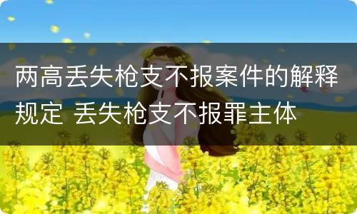 两高丢失枪支不报案件的解释规定 丢失枪支不报罪主体