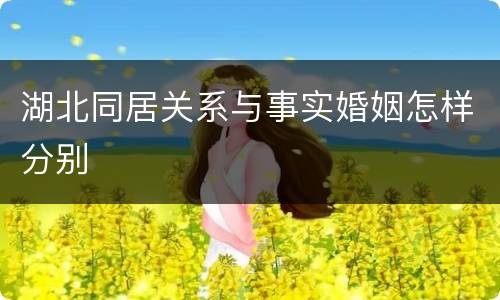 湖北同居关系与事实婚姻怎样分别