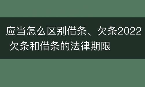 应当怎么区别借条、欠条2022 欠条和借条的法律期限