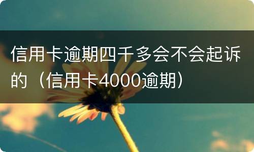 信用卡逾期四千多会不会起诉的（信用卡4000逾期）