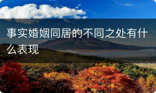 事实婚姻同居的不同之处有什么表现